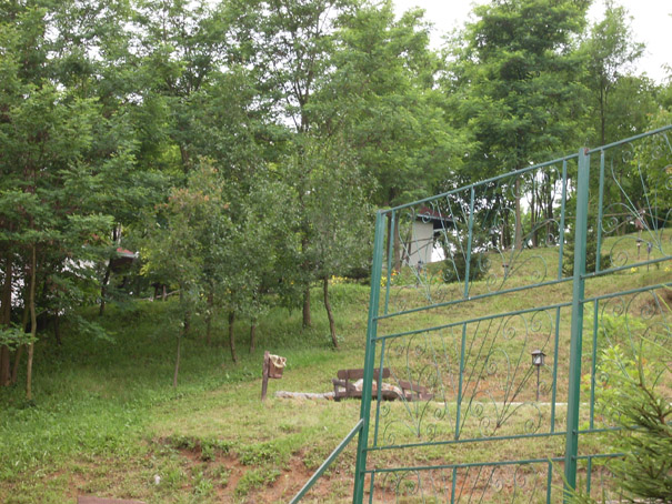 Vrdnik - ranc Platan, jun 2006 13 A.jpg